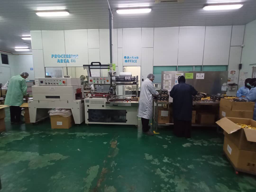 Factory equipment review during a manufacturing improvement site visit